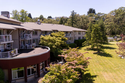 Cedars building back