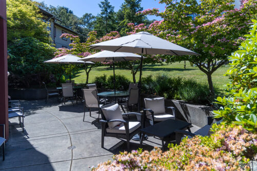 Cedars outside seating