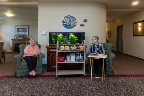 Cedars people sitting