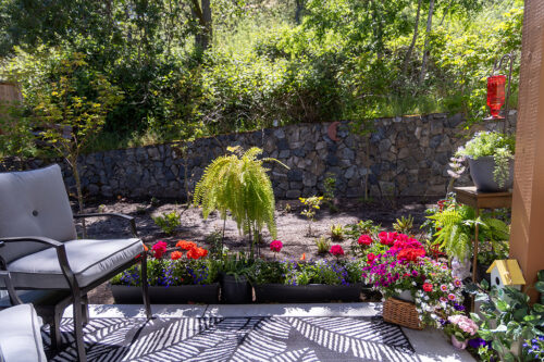 Woodlands unit garden