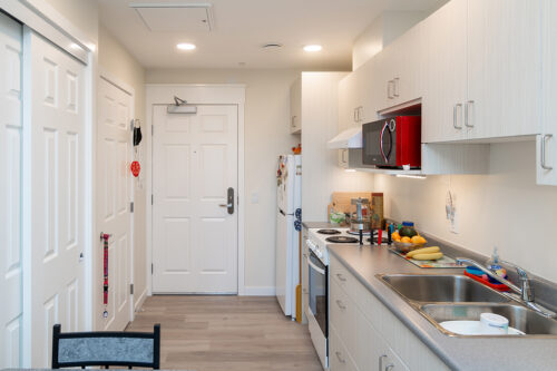 Woodlands unit kitchen