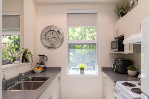 Woodlands unit kitchen